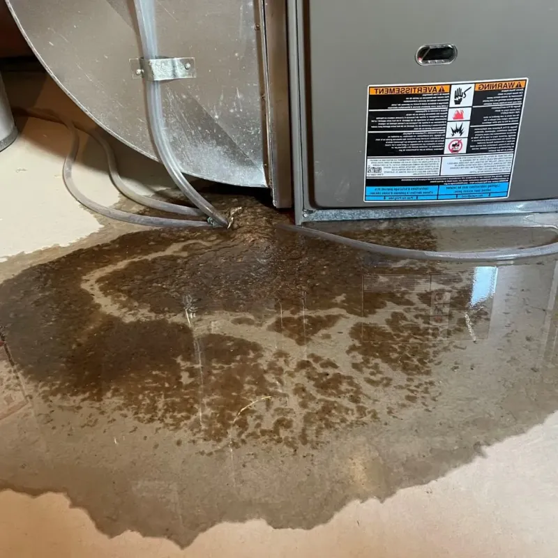 Pipe Burst and Leak Restoration in Lebanon, NH